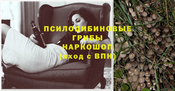 бошки Зеленодольск