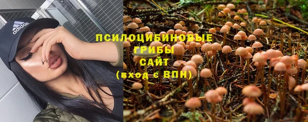 трава Зерноград