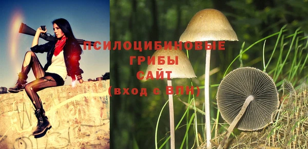 трава Зерноград