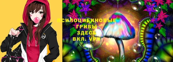 твердый Зеленокумск